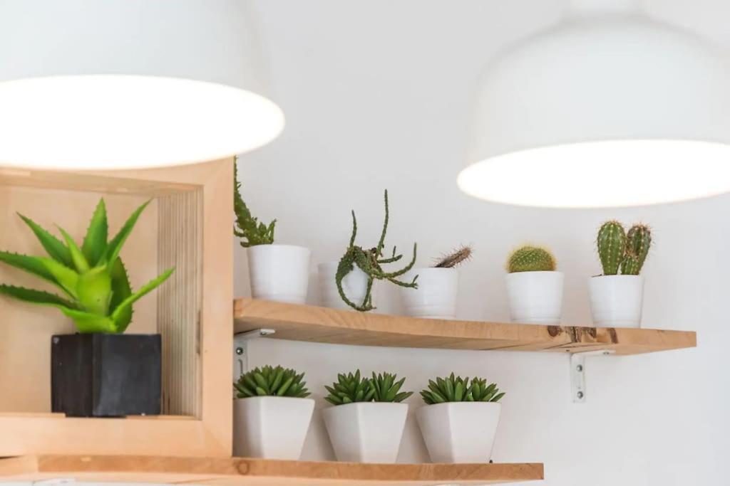 Inlapa Studio VI Porto Garden ภายนอก รูปภาพ